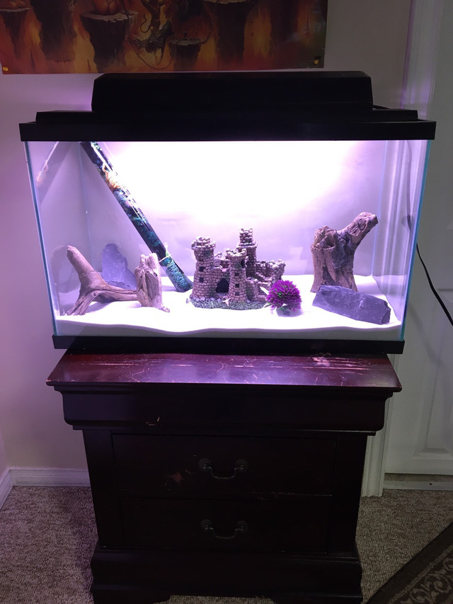 AQUARIUM 30 - 35  GALLON FISH TANK - Pickering  in Accessories in City of Toronto - Image 4