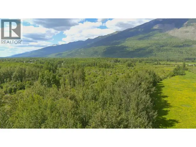 DL 5314 HORSESHOE LAKE ROAD McBride, British Columbia in Land for Sale in Quesnel - Image 18