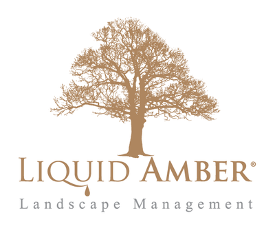 Snow Removal Crew Members Needed. Guaranteed Hours, View more