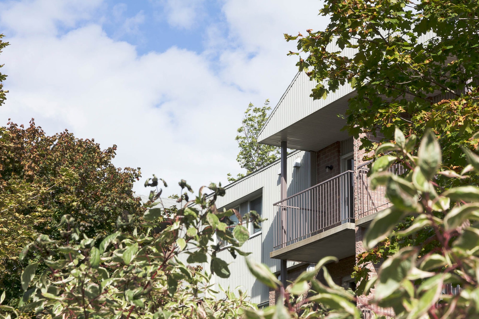425 Père Lelièvre — photo 3
