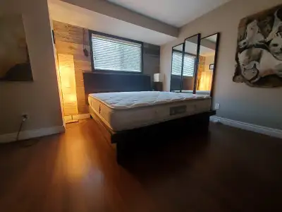 Amazing Clean Quiet Smoke Free House with prime location near Carleton University. Take the O-Train...