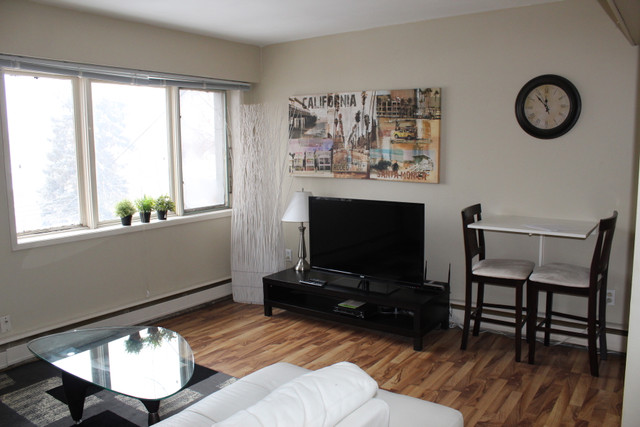 Lower Mount Royal Apartment For Rent | Parada Estates in Long Term Rentals in Calgary