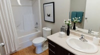 Broadstreet's Chappelle Springs offers 1, 2, and 3 bedroom pet friendly apartments for rent in the v... (image 7)
