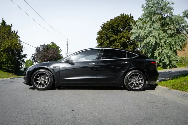 2020 Tesla Model 3534820850038876164