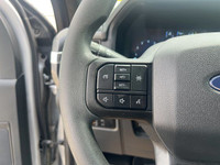 Welcome to Freedom Ford. Recent Arrival! 4WD, 6 Speakers, 6 Black Running Boards, AM/FM radio: Siriu... (image 8)