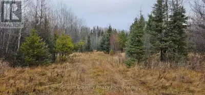 Located 1 km east of Borups Corners, between Dryden and Ignace; accessed directly off of Highway 17....