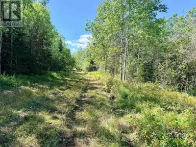 These 160 acres is situated in a preferred Unorganized location in Aubrey Township. A mixture of fie...