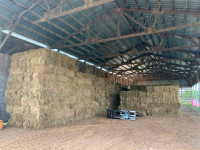 Small Square Hay Bales 4-Sale