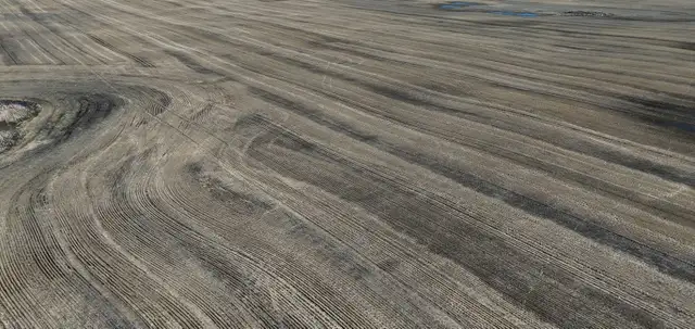 Productive Farmland | RM of Orkney # 244 | Near Willowbrook, SK in Land for Sale in Regina - Image 5
