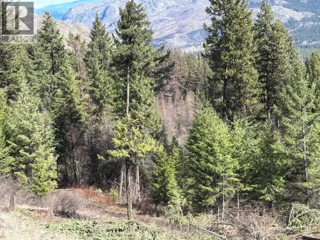 Lot 5 Hulme Creek Road Rock Creek, British Columbia in Land for Sale in Penticton - Image 5