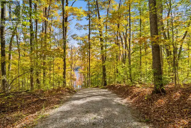 100 RUSSELL DRIVE Trent Lakes, Ontario in Land for Sale in Muskoka - Image 15