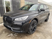 This Executive Driven Lincoln has been carefully driven by one of our employees or as a courtesy ser... (image 2)