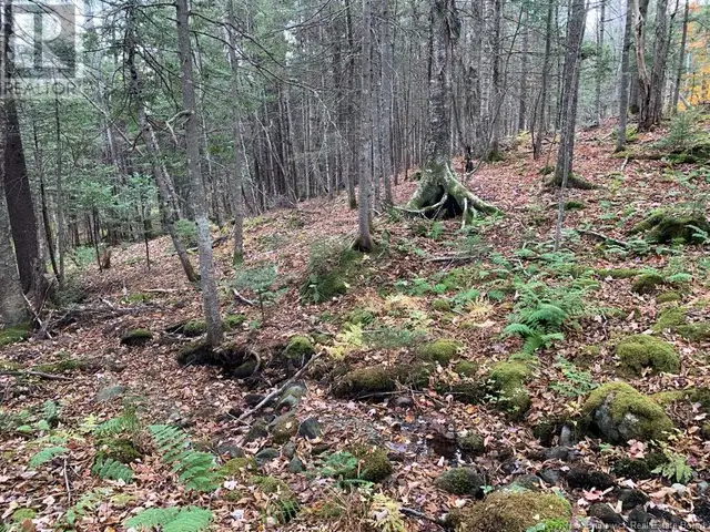 21-01 Worden Road Kingston, New Brunswick in Land for Sale in Saint John - Image 5