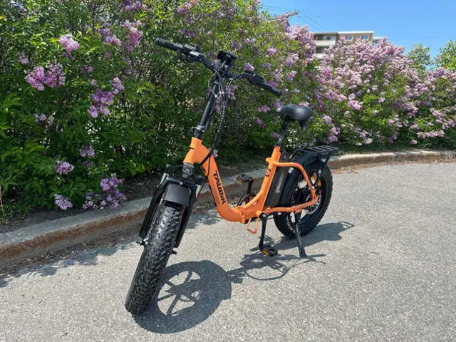 .ELECTRIC MOTORCYCLES, E BIKES, Emmo Zone,Tao Leo, from 2895.00 in eBike in Ottawa - Image 8
