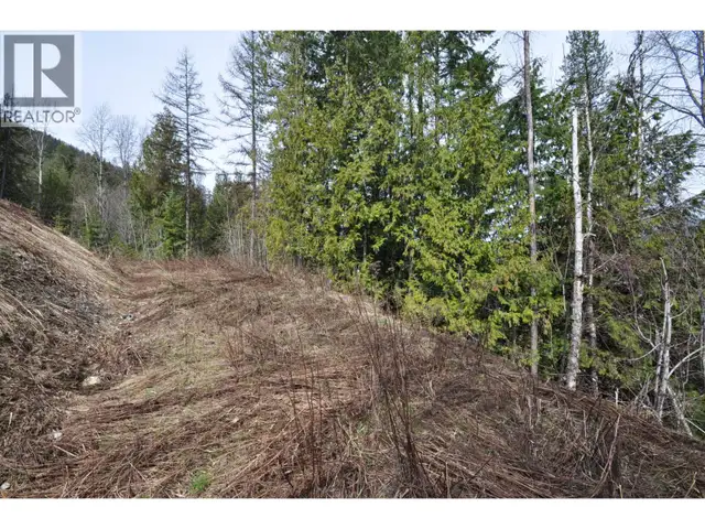 2835 SILVER KING Road Nelson, British Columbia in Land for Sale in Nelson - Image 4