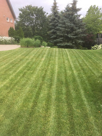 LAWN MAINTENANCE / SPRING CLEAN UP / MULCH / SODDING / HEDGING +