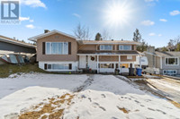 241 BIRCH CRES Logan Lake, British Columbia