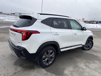 Leather Seats, Remote Start, Heated Steering Wheel, Heated Seats, Apple CarPlay! SALES HOTLINE sales... (image 4)