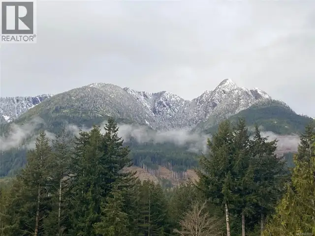 419 Golden Hinde Pl Gold River, British Columbia in Houses for Sale in Campbell River - Image 36