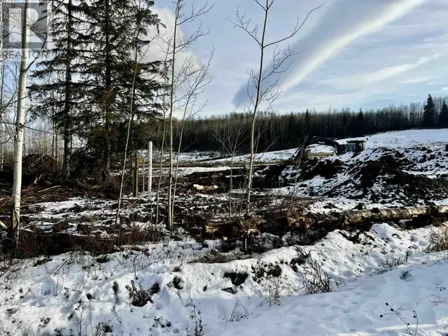 170-180 LANGLEY AVENUE Fraser Lake, British Columbia in Land for Sale in Burns Lake - Image 6