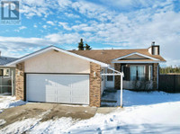 21 Hollinger Drive Swan Hills, Alberta