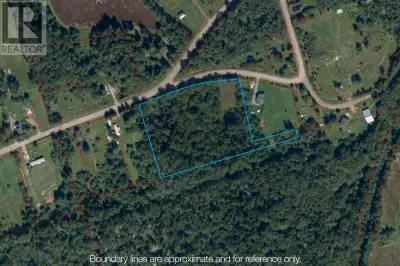 4.57 ACRE LOT! This lot is perfectly situated in the county, just a 10 minute drive to Amherst and m...