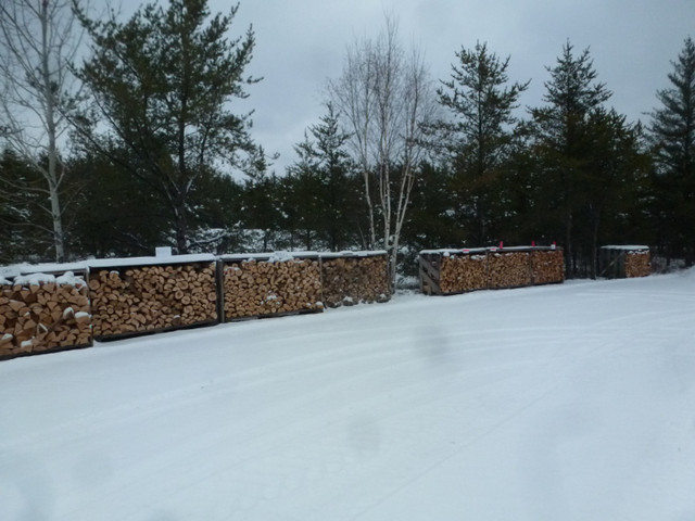 Oak and Maple Firewood ( ) in Other in Sudbury - Image 3