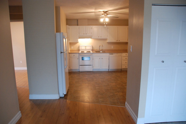 Large 2 Bed.apt please call 506-962-0747 in Long Term Rentals in Moncton - Image 3