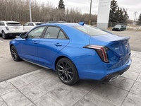 | AKG 14-Speaker Audio | Head-Up Display | Heated & Ventilated Front Seats | Power Sunroof | Adaptiv... (image 5)