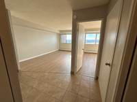 1 Bedroom Apartment near the Armdale rotary ONE MONTH FREE RENT City of Halifax Halifax Preview
