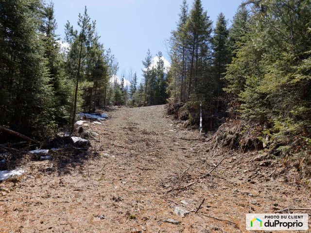 79 000$ - Terrain résidentiel à vendre à St-Charles-De-Bourget dans Terrains à vendre  à Saguenay - Image 2