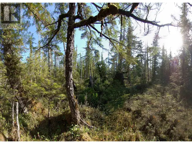 1302 GOBLE POINT Prince Rupert, British Columbia in Land for Sale in Prince Rupert - Image 21