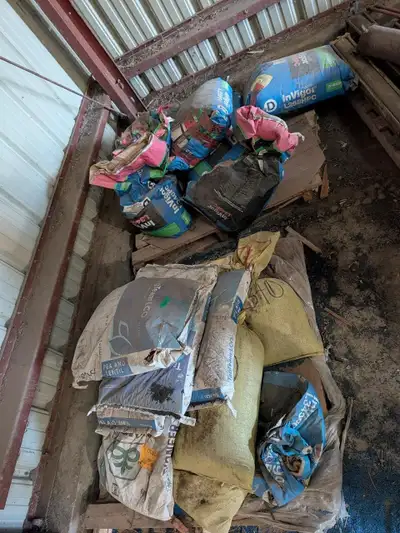 Qty Of Canola BAGS OF CANOLA