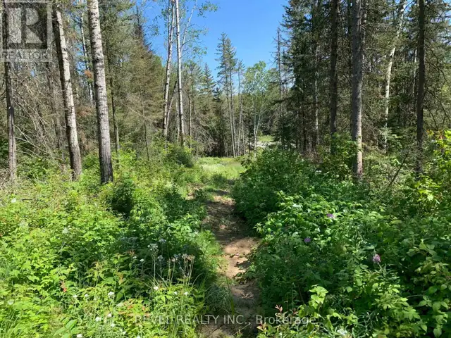 PCL8547 HWY 101 HIGHWAY W Timmins (TCTDAR Outside), Ontario in Land for Sale in Timmins - Image 34