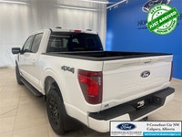 When you choose Ford, you choose adventure. Rain or shine, it’s time to rediscover things you love w... (image 7)