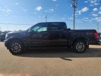 3.5L ECOBOOST | FX4 OFF ROAD PACKAGE | HEATED & COOLED FRONT SEATS | HEATED REAR SEATS | HEATED STEE... (image 2)