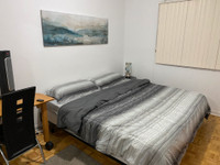 1 Bed Private Apartment for Rent in Montreal!