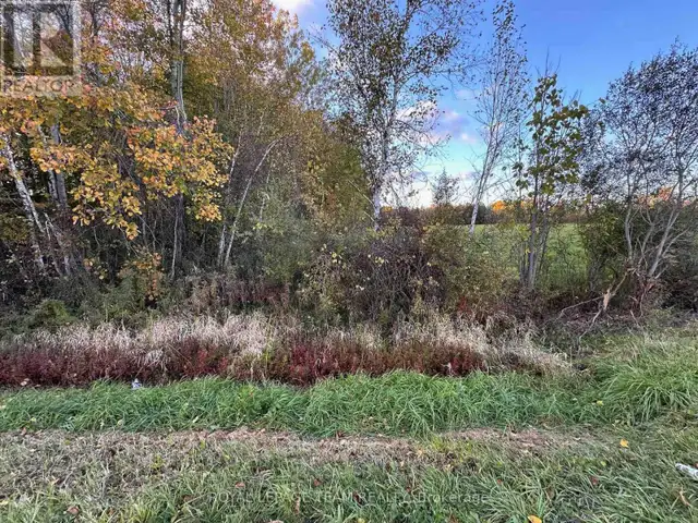 00 COUNTY ROAD 20 ROAD North Grenville, Ontario in Land for Sale in Woodstock - Image 8