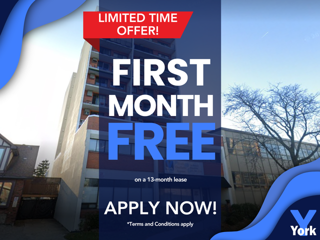 Rare Find! Spacious, stunning renovated LOFT in Long Term Rentals in Windsor Region - Image 2