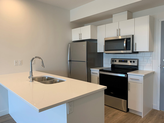 Brand New 1 Bedroom Apartment in Chuka Boulevard! in Long Term Rentals in Regina - Image 2