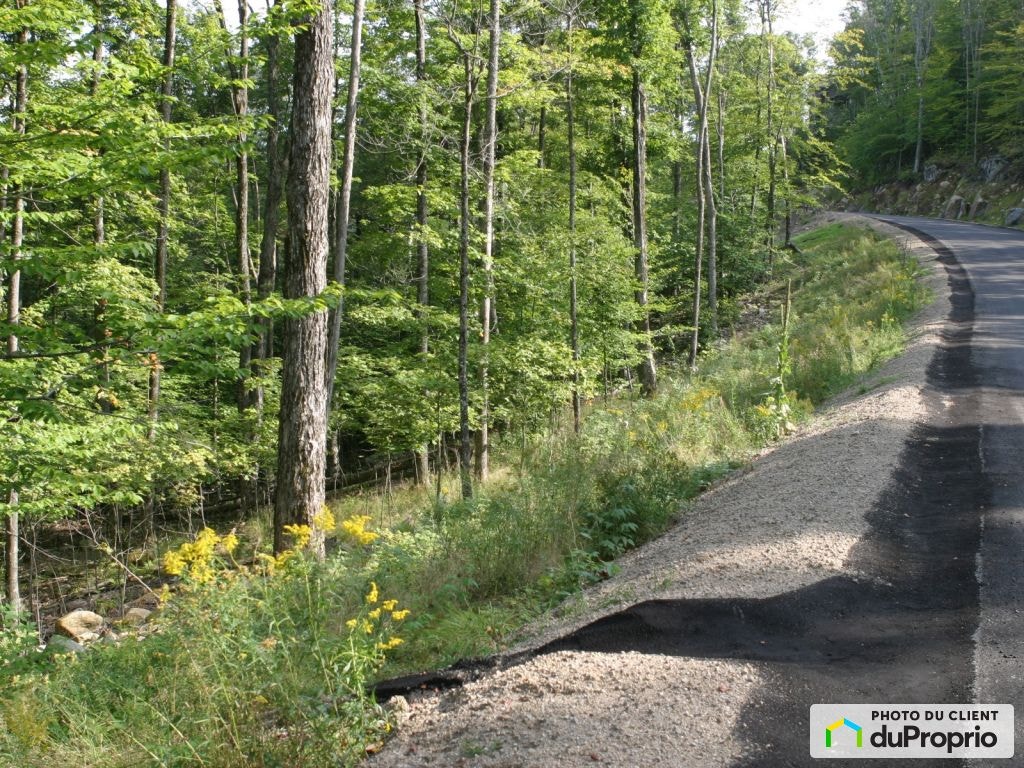 $550,000 - Residential Lot for sale in Mont-Tremblant — photo 2
