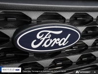 The Humberview Group: 5000 Vehicles. 20 Stores. 18 Brands. 1 Promise: Serving you better each and ev... (image 8)