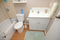 SPACIOUS 1 BEDROOM APARTMENT FOR RENT IN AMHERSTBURG! 30 MINUTES TO WINDSOR! SELECT APARTMENTS FULLY... (image 7)