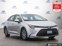 Odometer is 1478 kilometers below market average! Gray 2025 Toyota Corolla Hybrid LE AWD Continuousl... (image 6)