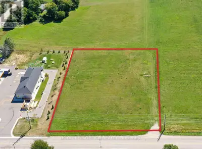 Excellent opportunity for 1.2 acre commercial lot fronting on County Road 17 in the hamlet of Mansfi...