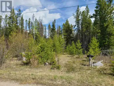 Located just outside of town on a private road, this exceptional mid-sized acreage offers over 20 le...