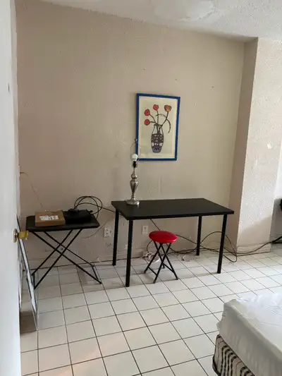 BLoor Spadina Furnished walk to U ofT Short Term / long term Summer also ok April-May to August TTC...