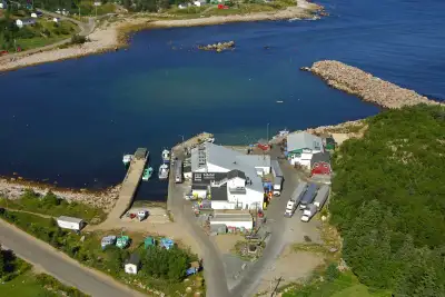 Seafood processor job, View more