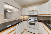 Amenities: Furnished Options • Shared Yard • Heated Underground Parking Suite & Building: Bachelor,... (image 5)