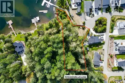 Welcome to Shawnigan Lake. This one-acre, walk-on lakefront property offers unmatched southern expos...